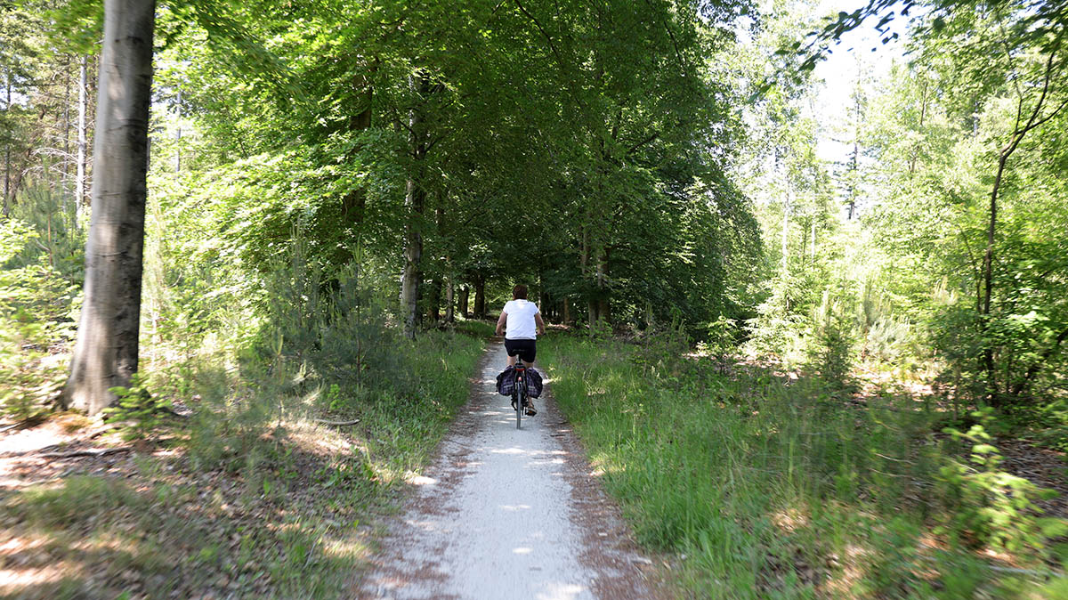 Hans en Gina Mom - Drents-Friese Wold 6 juni 2023